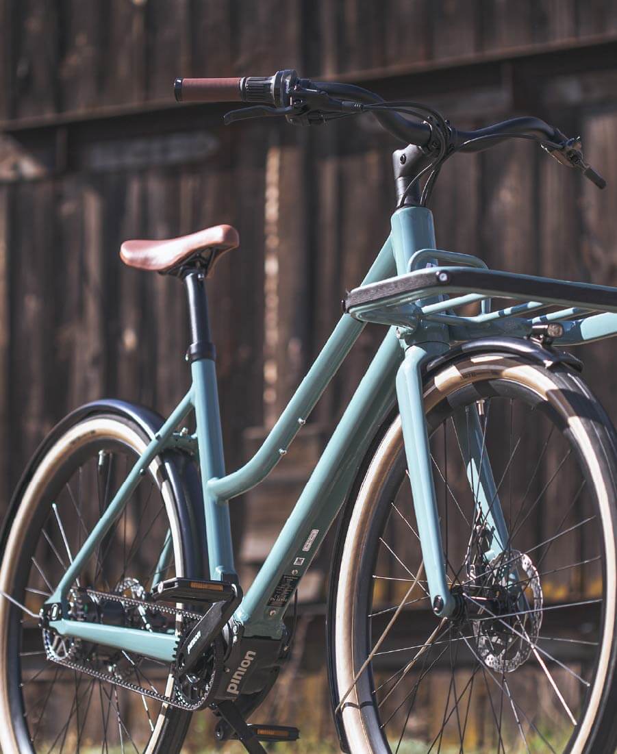 Ein Fahrrad Schindelhauer Emilia in Farbe salbeigrün steht im Park